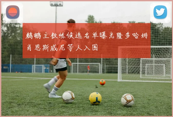 鹈鹕主教练候选名单曝光隆多哈姆肖恩斯威尼等人入围